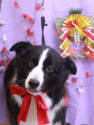 20230124ウィルくん